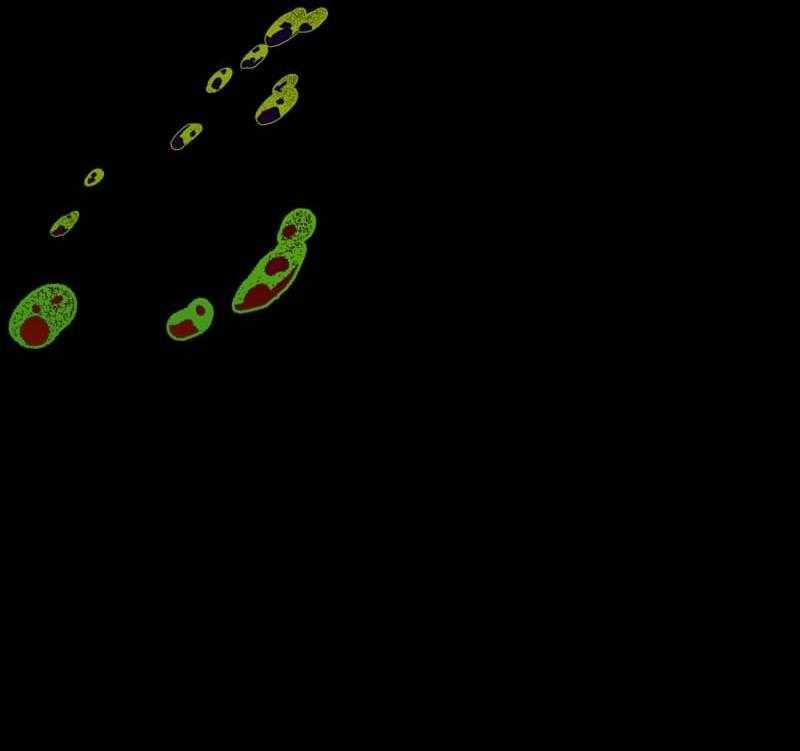 Truyện Ngôn Nhưng Không Ngôn Lắm 111 trang 8