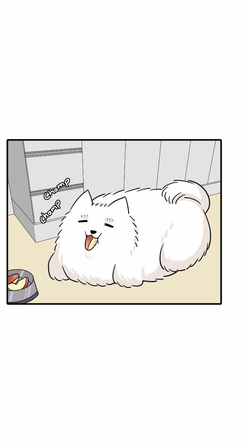 Truyện Ngôn Nhưng Không Ngôn Lắm 68 trang 97