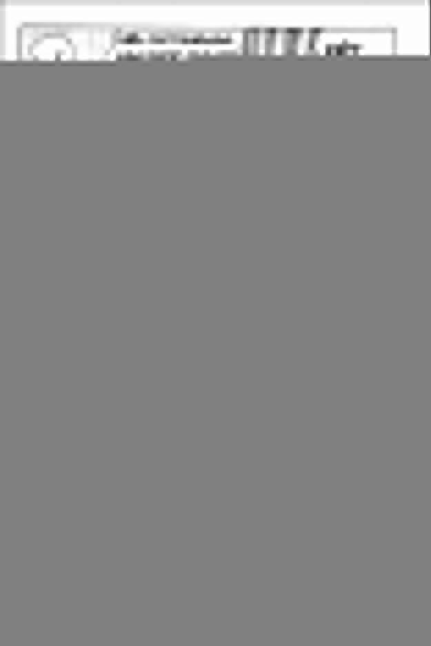 Tsubasa En La Liga 34 trang 1