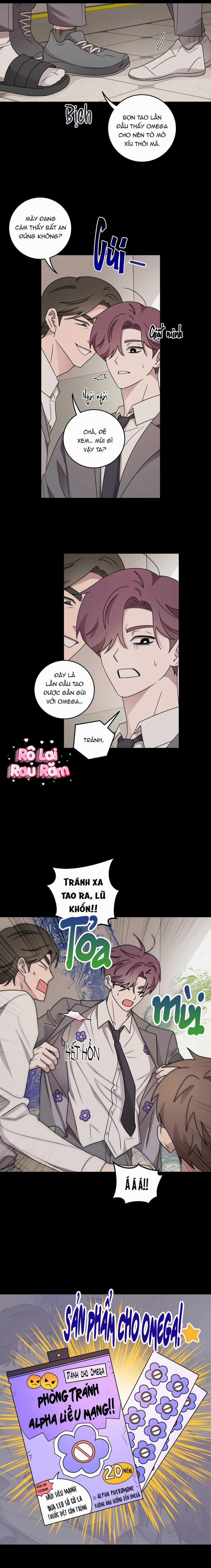 Từ A Thành Á 21 trang 6