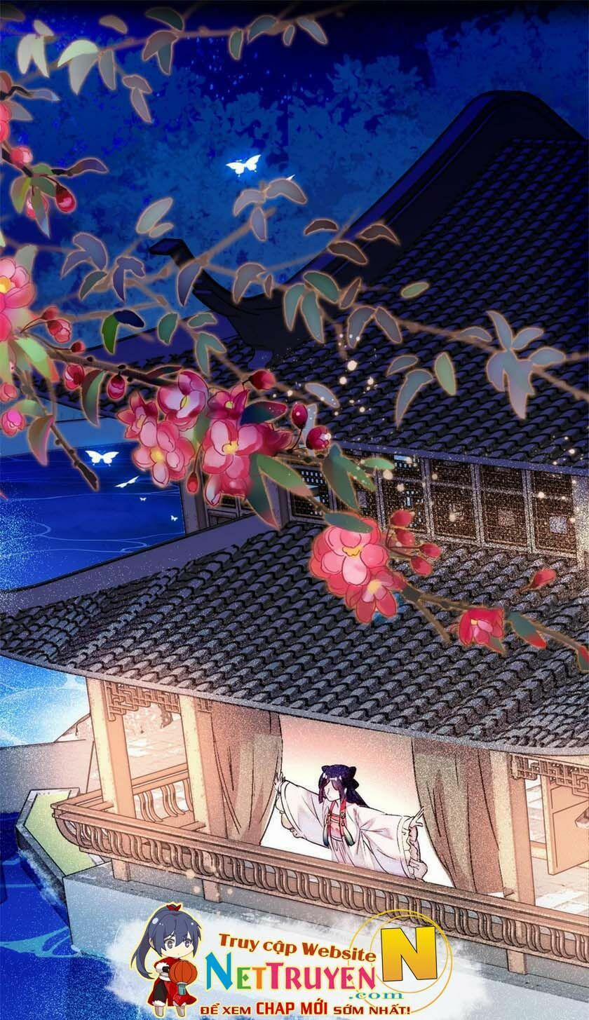 Tự Cẩm 2 trang 41