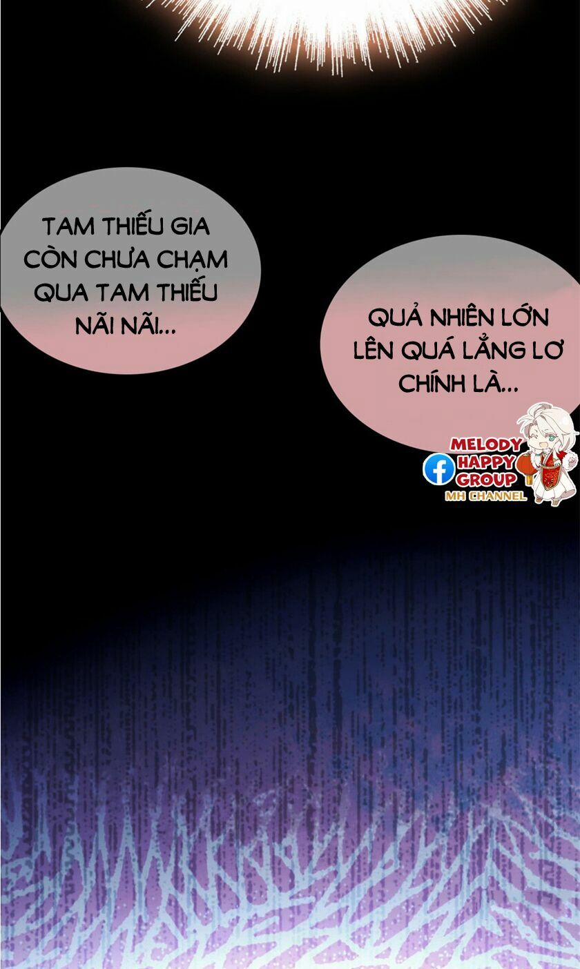 Tự Cẩm 3 trang 7