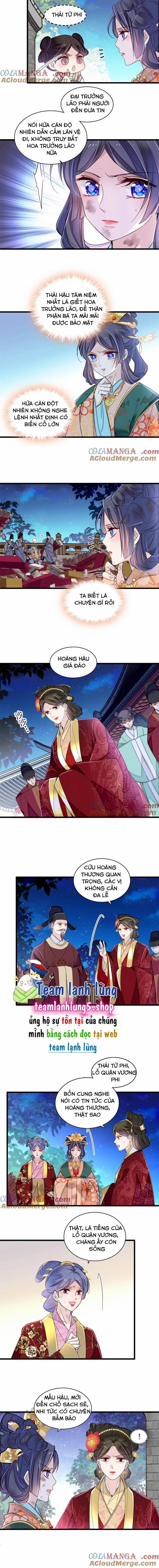 Tự Cẩm 380 trang 5