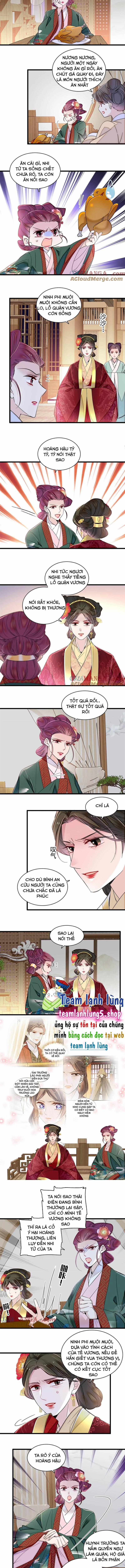 Tự Cẩm 381 trang 2