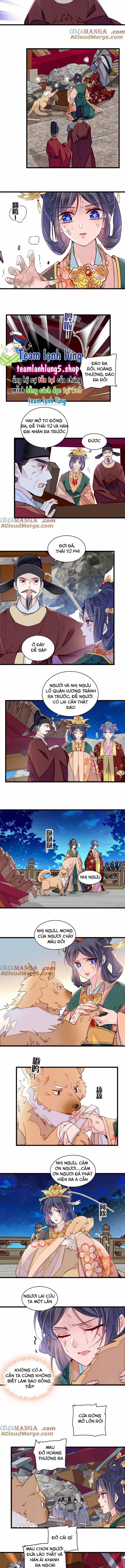 Tự Cẩm 381 trang 4