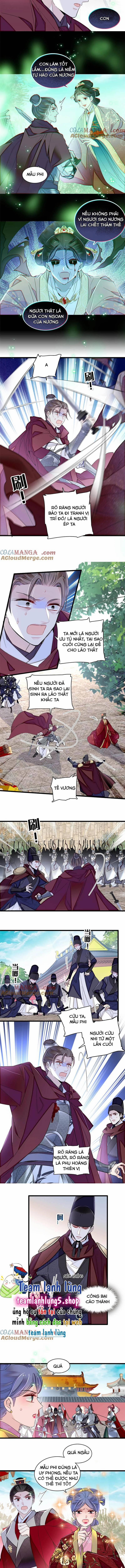 Tự Cẩm 384 trang 2