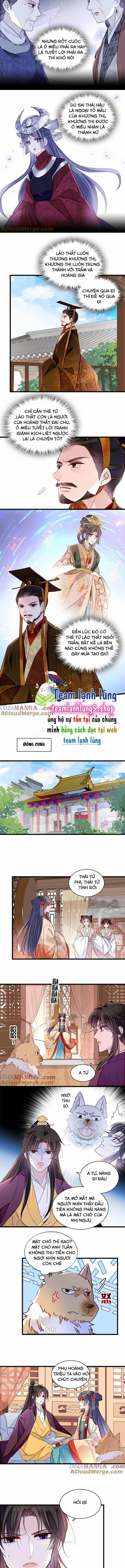 Tự Cẩm 385 trang 3