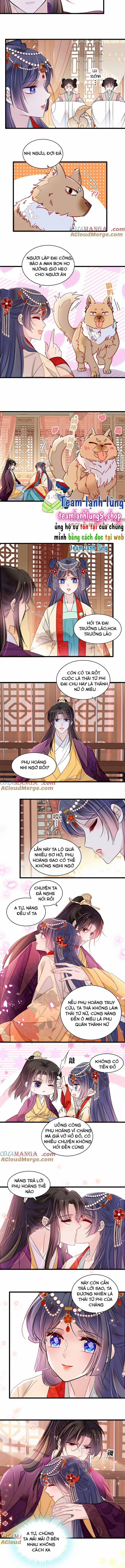 Tự Cẩm 385 trang 4