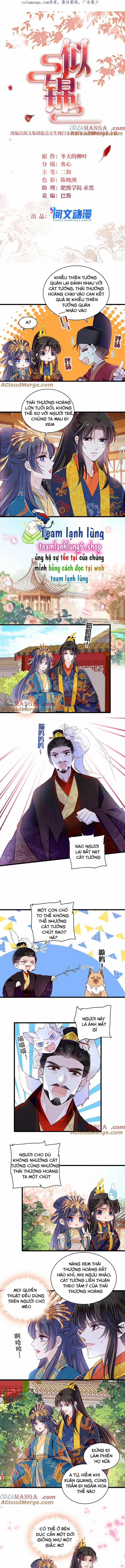 Tự Cẩm 387 trang 1