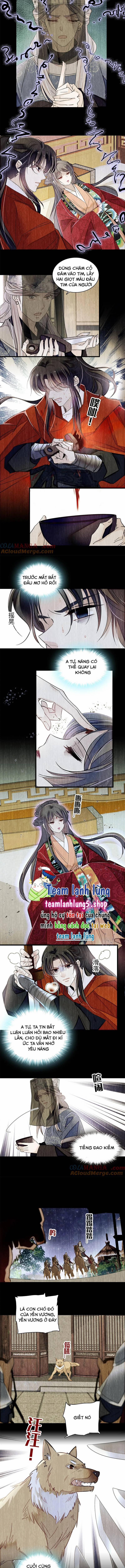 Tự Cẩm 388 trang 2