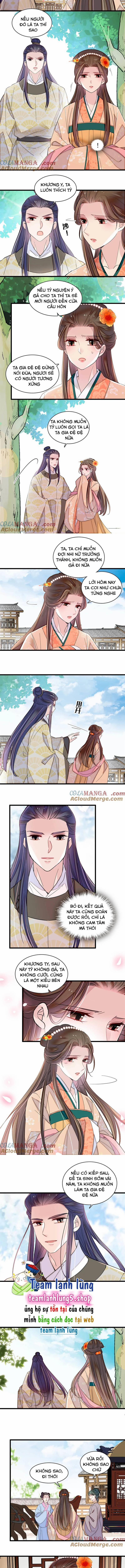 Tự Cẩm 391 trang 4