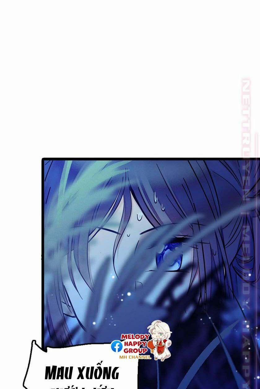 Tự Cẩm 5 trang 1