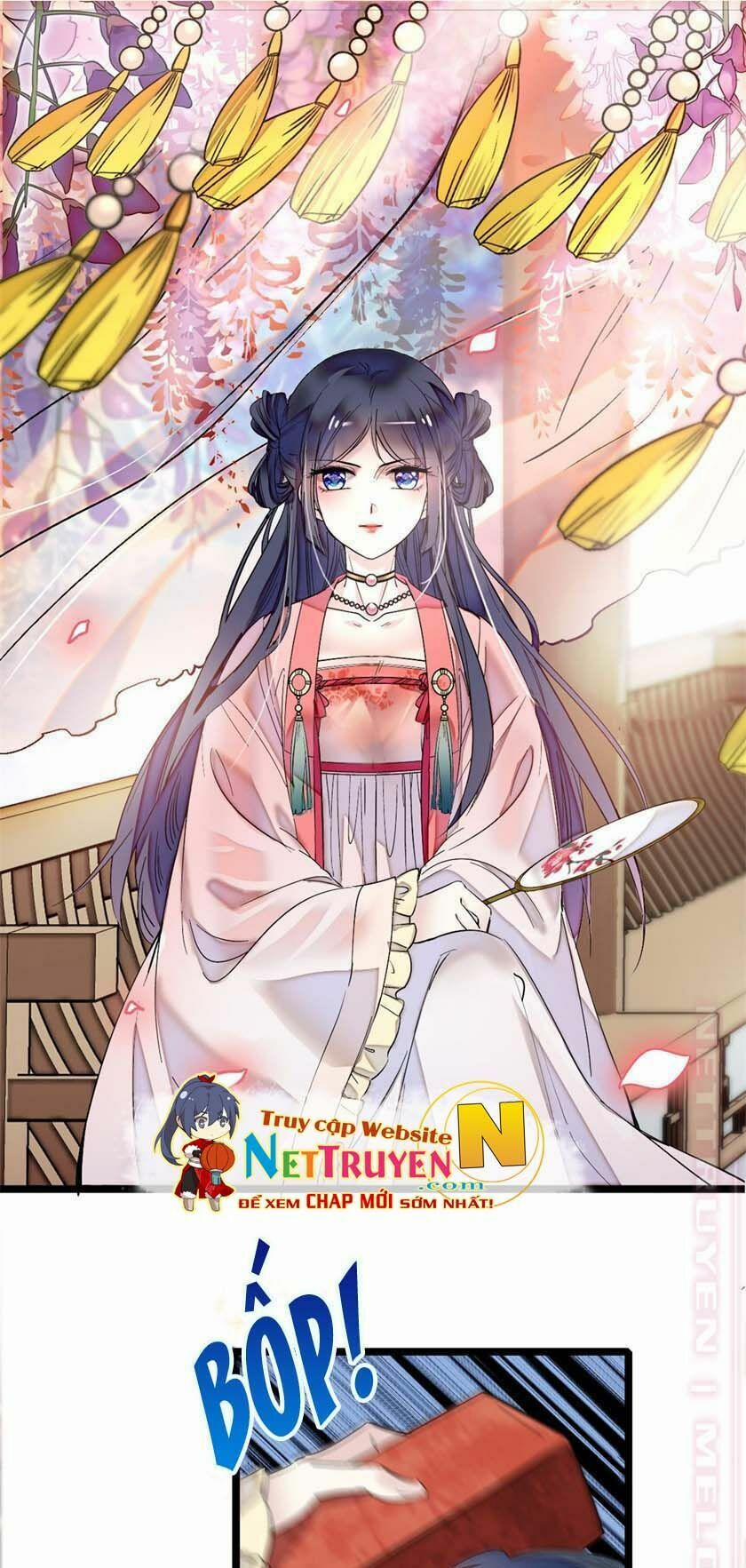 Tự Cẩm 6 trang 1