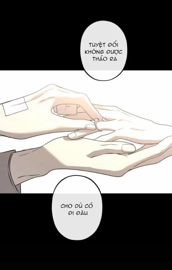 Tự Do Trong Mơ 139.1 trang 45