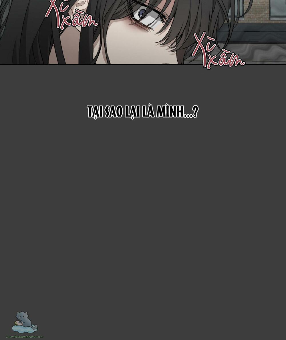 Tự Do Trong Mơ 2 trang 51