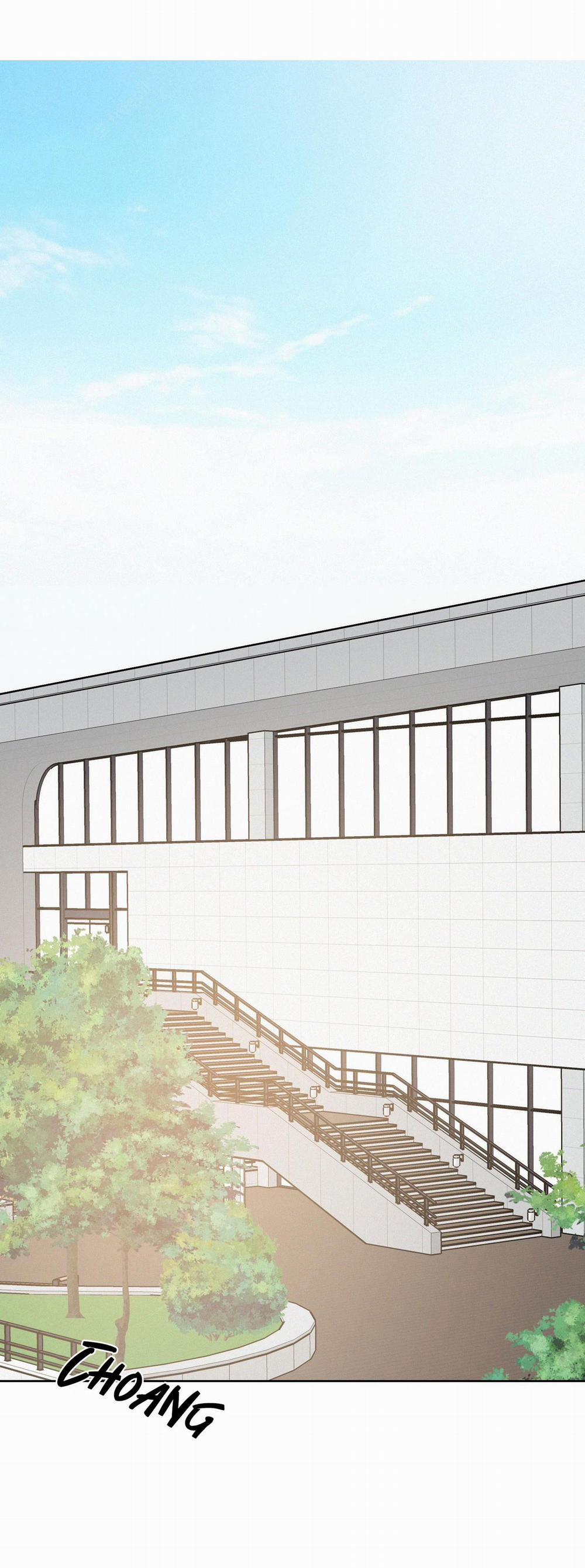 TỪ GIỜ TRỞ ĐI 8 trang 24