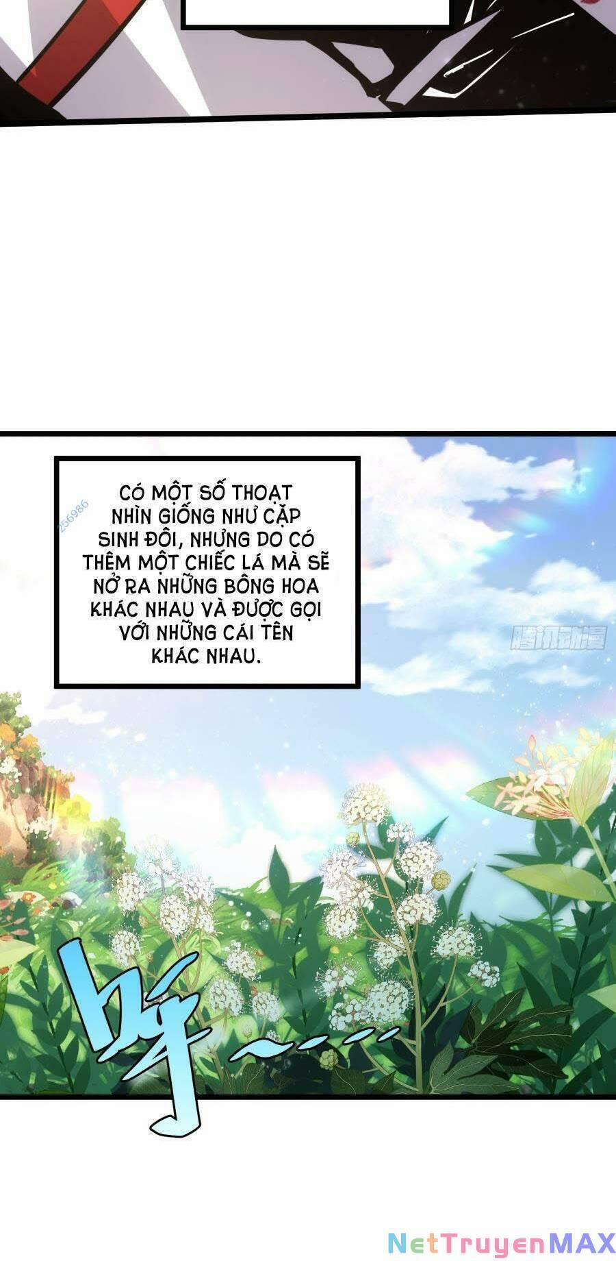 Tự Kỷ Luật Ta Đây Bất Khả Chiến Bại 55 trang 17