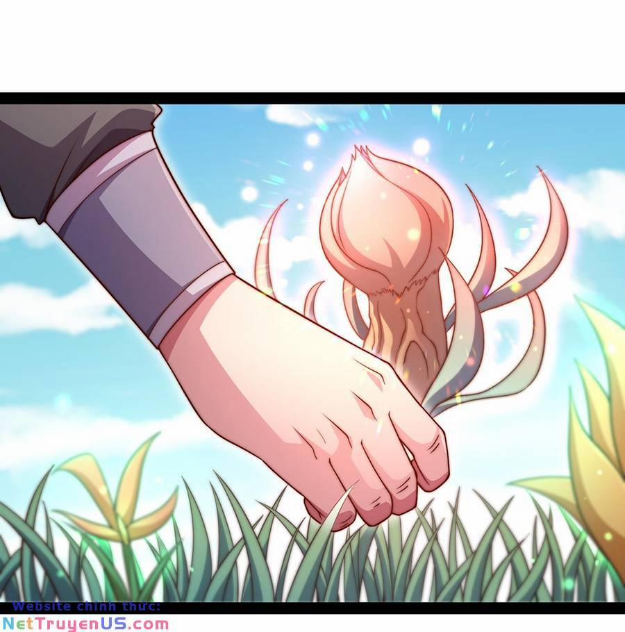 Từ Lúc Bắt Đầu Liền Vô Địch 101 trang 35