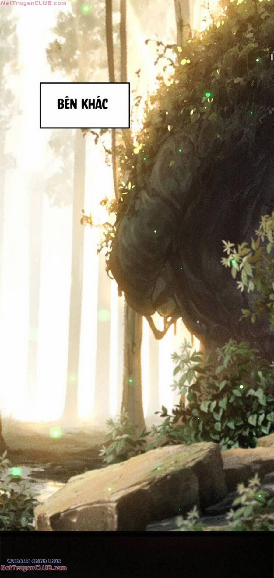 Từ Lúc Bắt Đầu Liền Vô Địch 114 trang 4