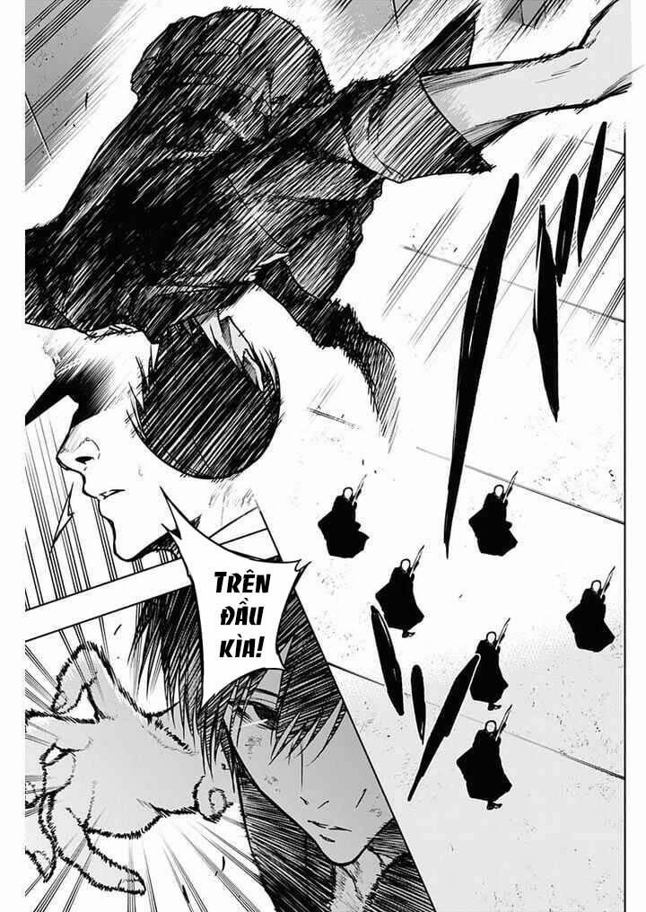 Từ Phù Thủy Mạnh Nhất Khu Ổ Chuột Đến Vô Song Tại Học Viện Pháp Thuật Hoàng Gia 94 trang 13