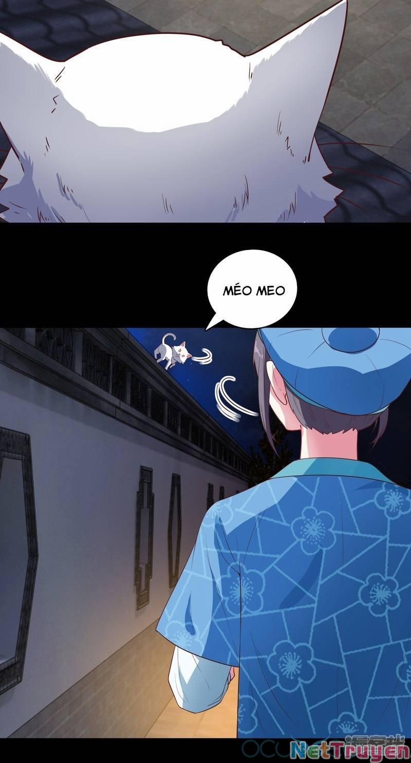 Tư Sủng Âm Dương Phi 12 trang 4