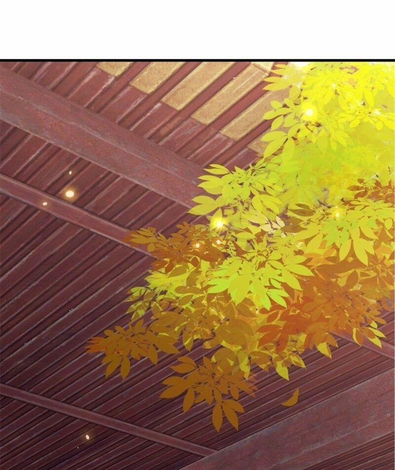 Tư Sủng Âm Dương Phi 4 trang 29