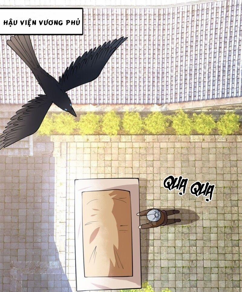 Tư Sủng Âm Dương Phi 6 trang 10