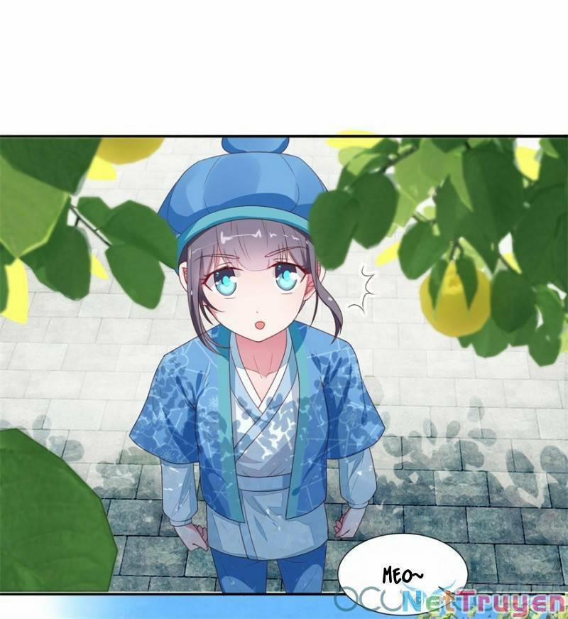 Tư Sủng Âm Dương Phi 9 trang 13