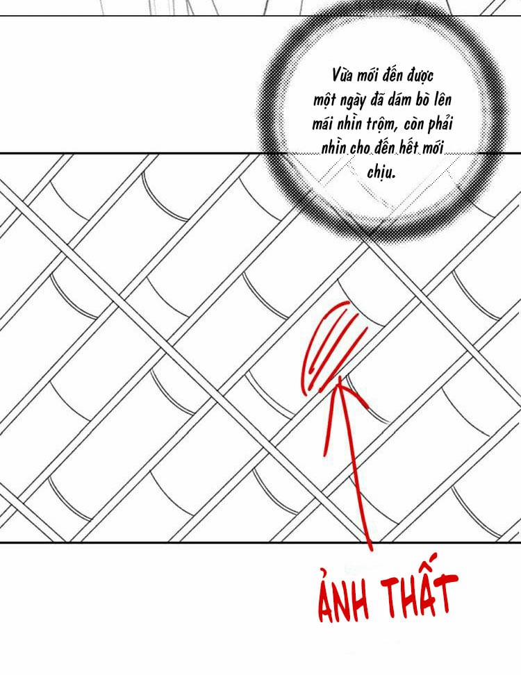 Tuân Mệnh 4 trang 38