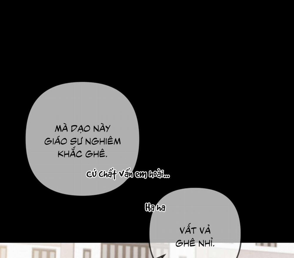 Tunnel Buddy 1 trang 34