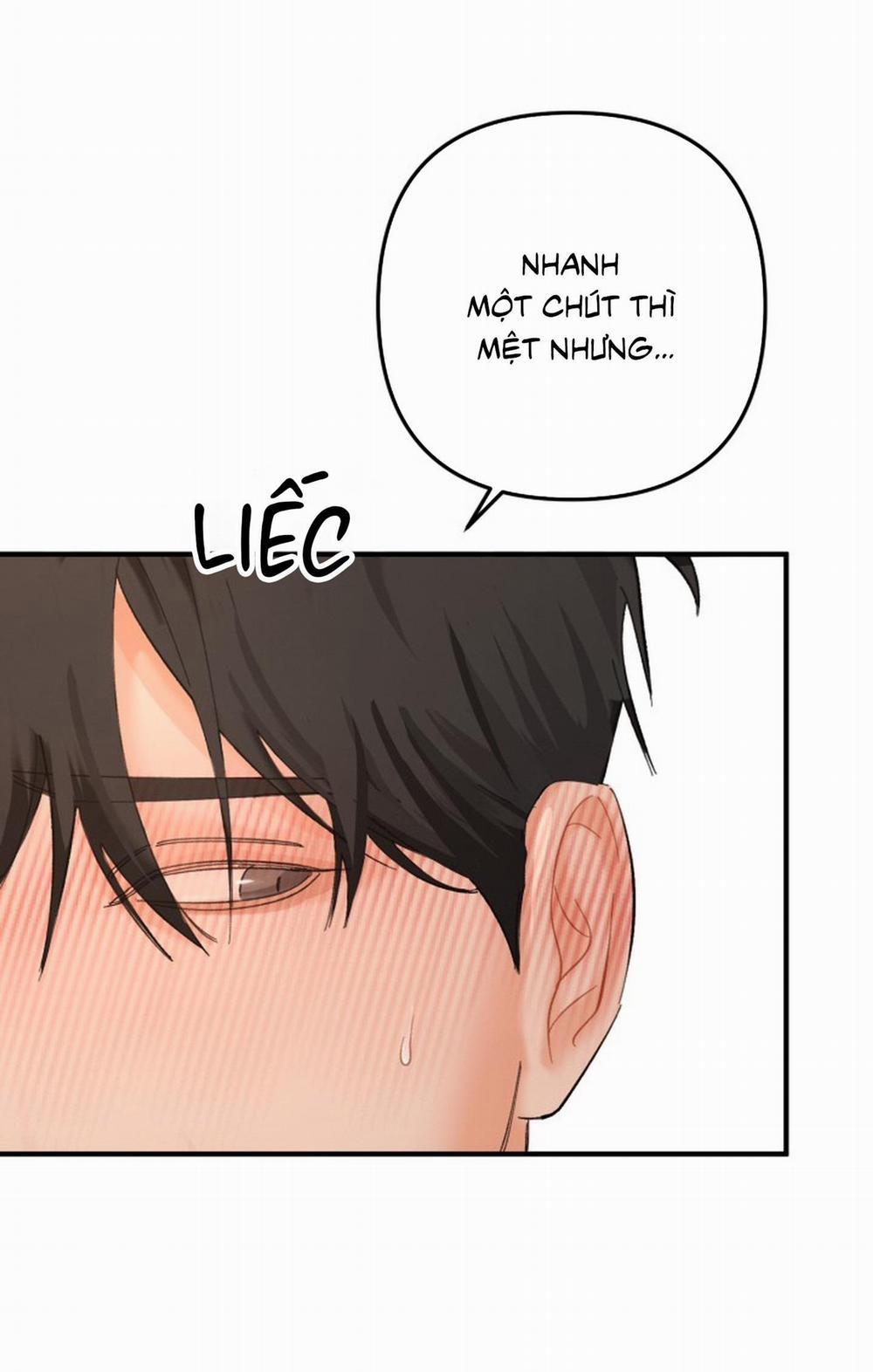 Tunnel Buddy 2 trang 47