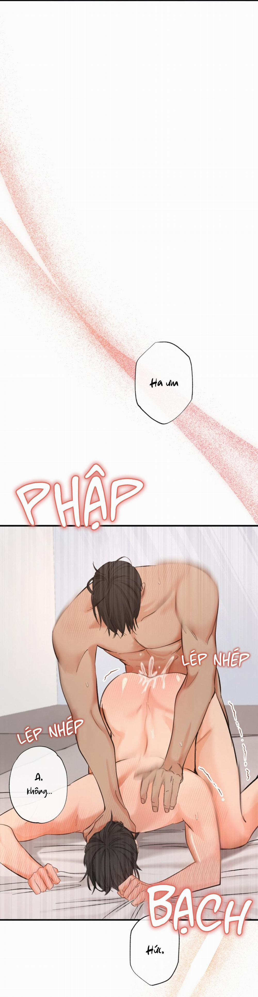 Tunnel Buddy 2 trang 65