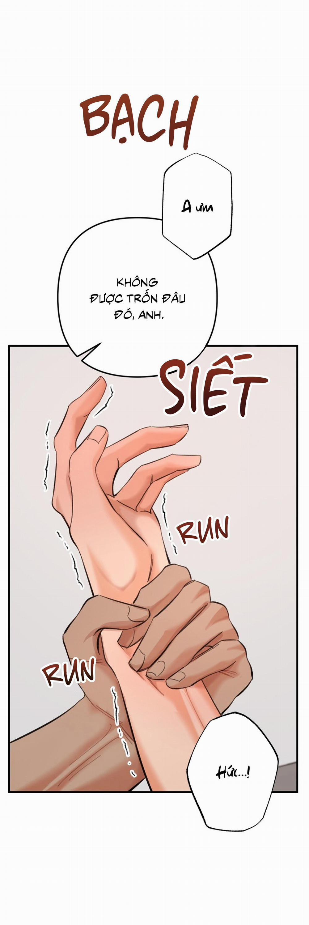 Tunnel Buddy 3 trang 39