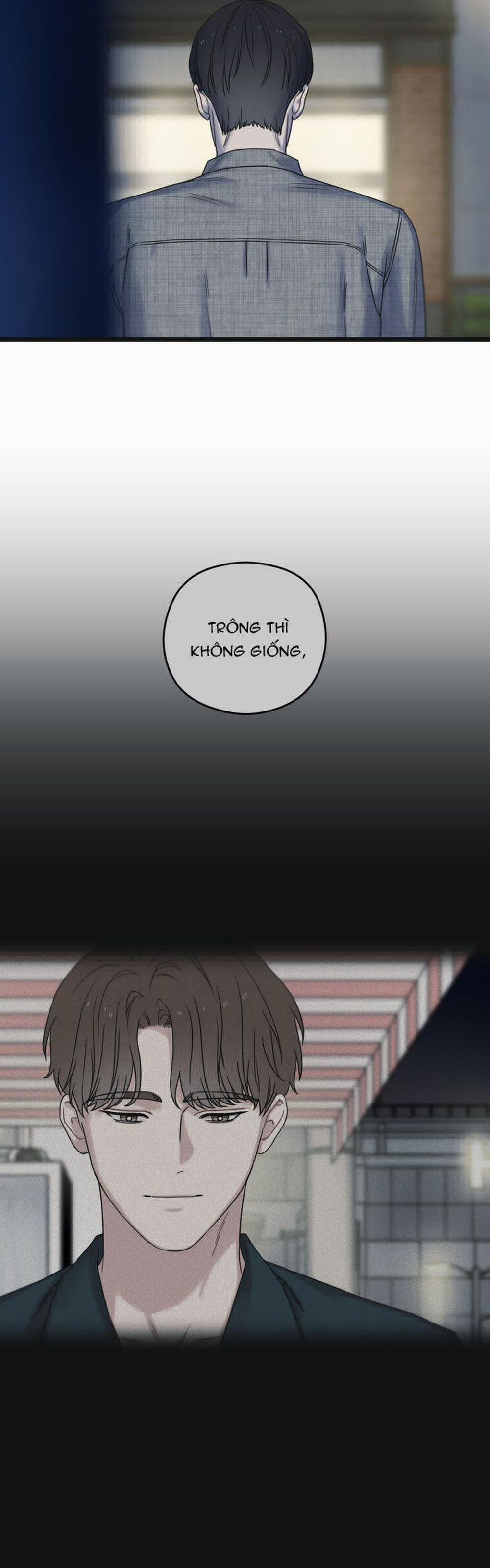 Tương Phùng 67 trang 15