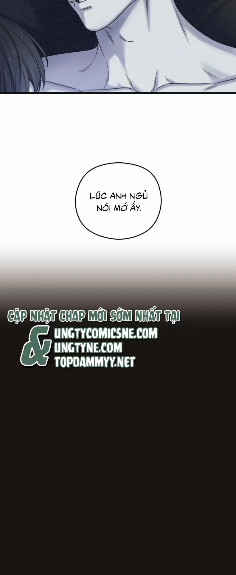 Tương Phùng 71 trang 11