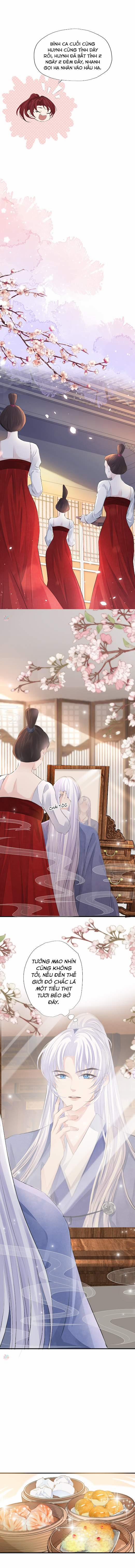 Tướng Quân Đêm Nay Không Cởi Kim Giáp 4 trang 3