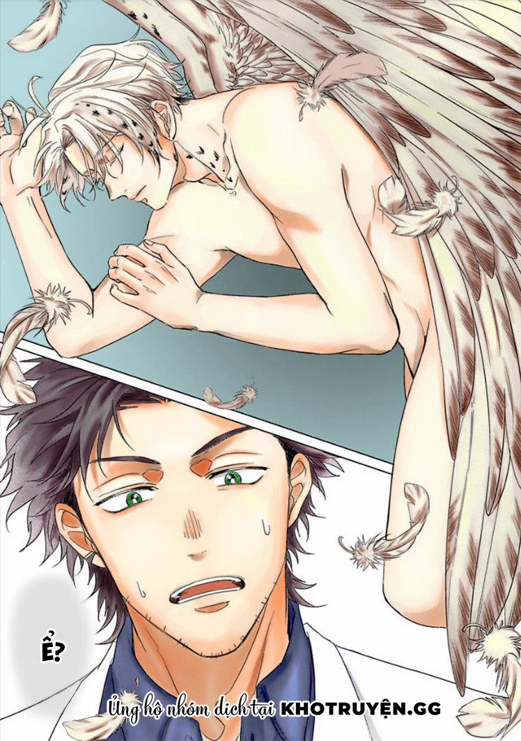 Tương Tư Chàng Cú 1 trang 10