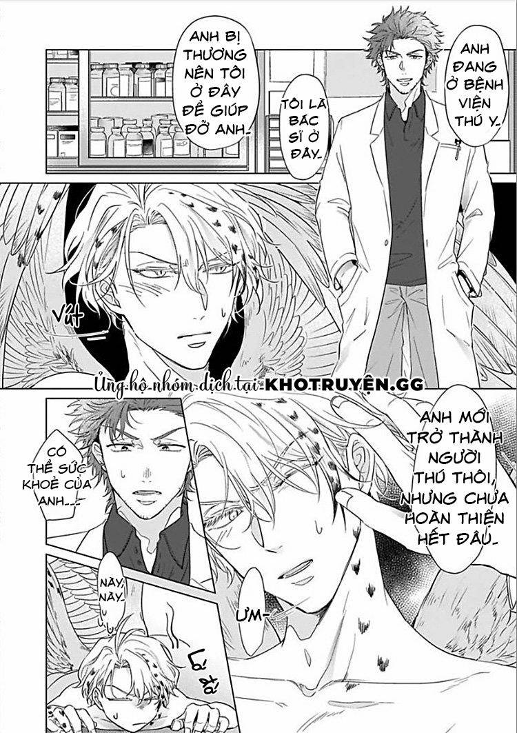 Tương Tư Chàng Cú 1 trang 16