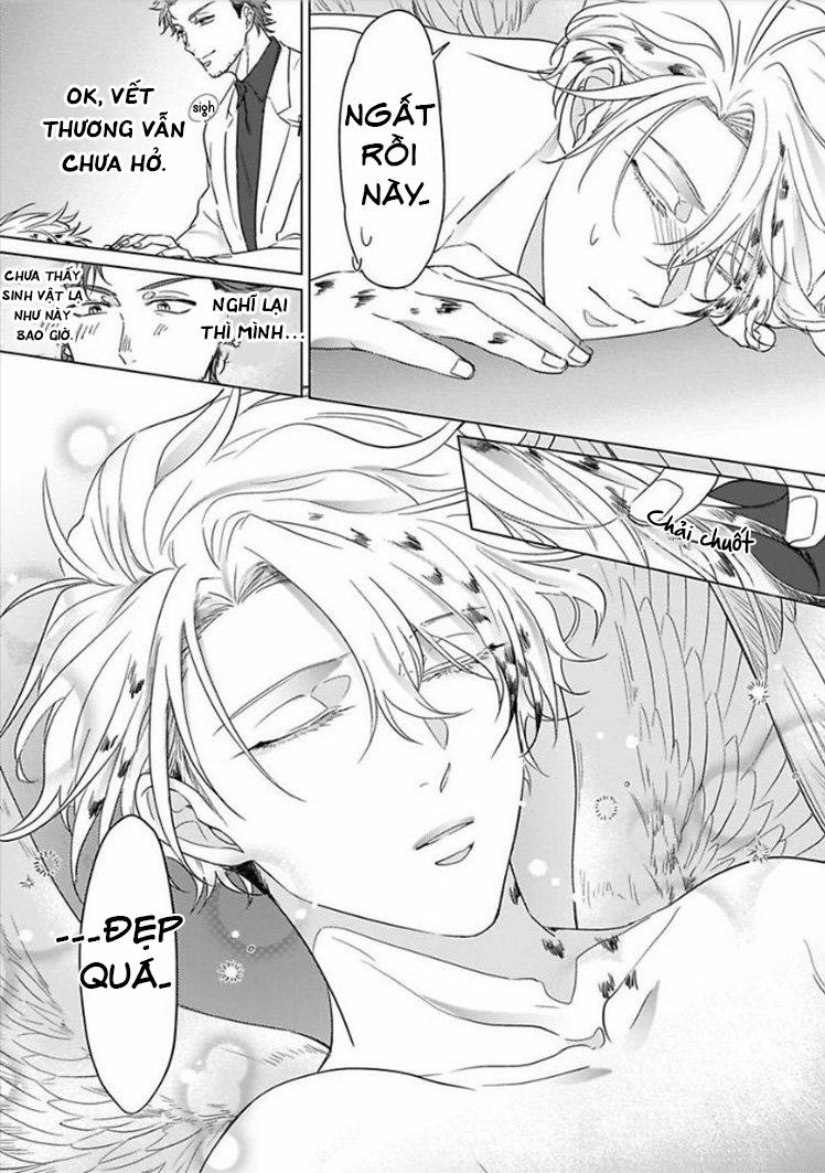 Tương Tư Chàng Cú 1 trang 17