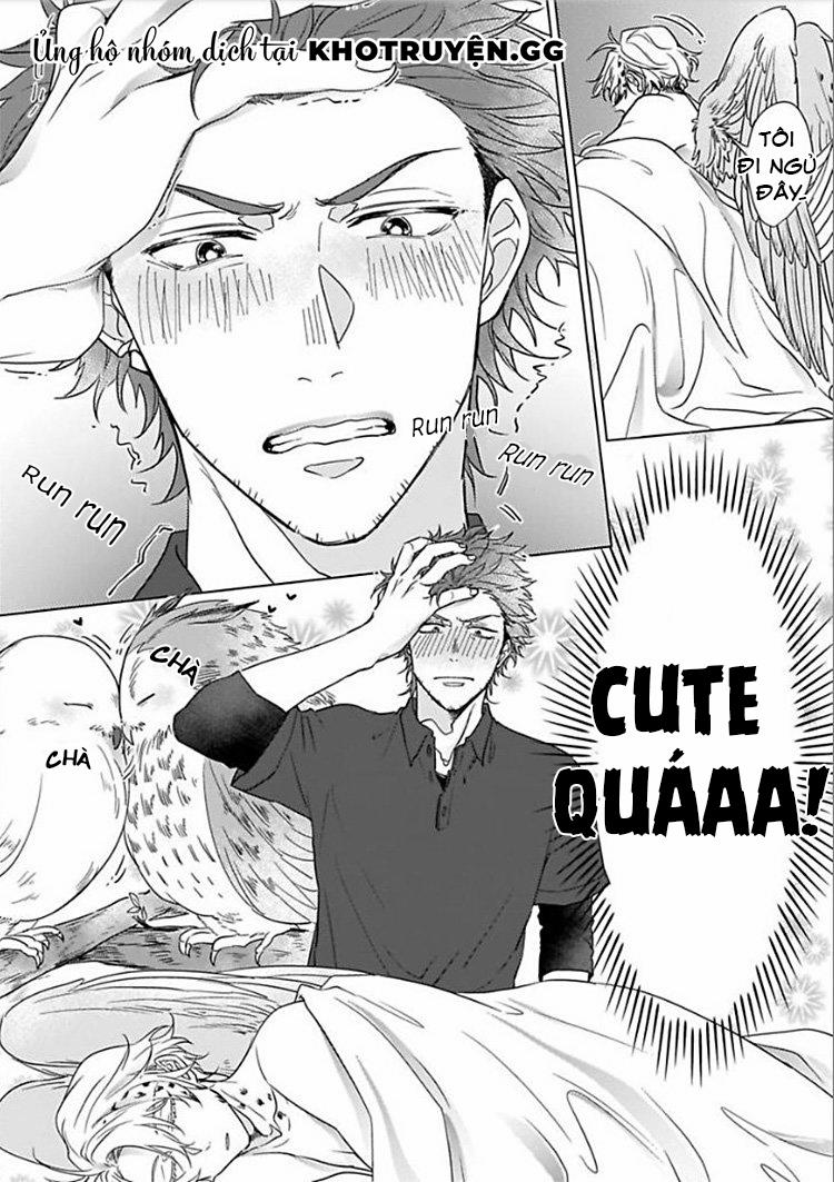 Tương Tư Chàng Cú 1 trang 24
