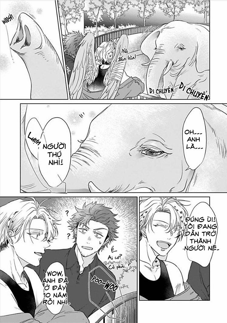 Tương Tư Chàng Cú 1 trang 29