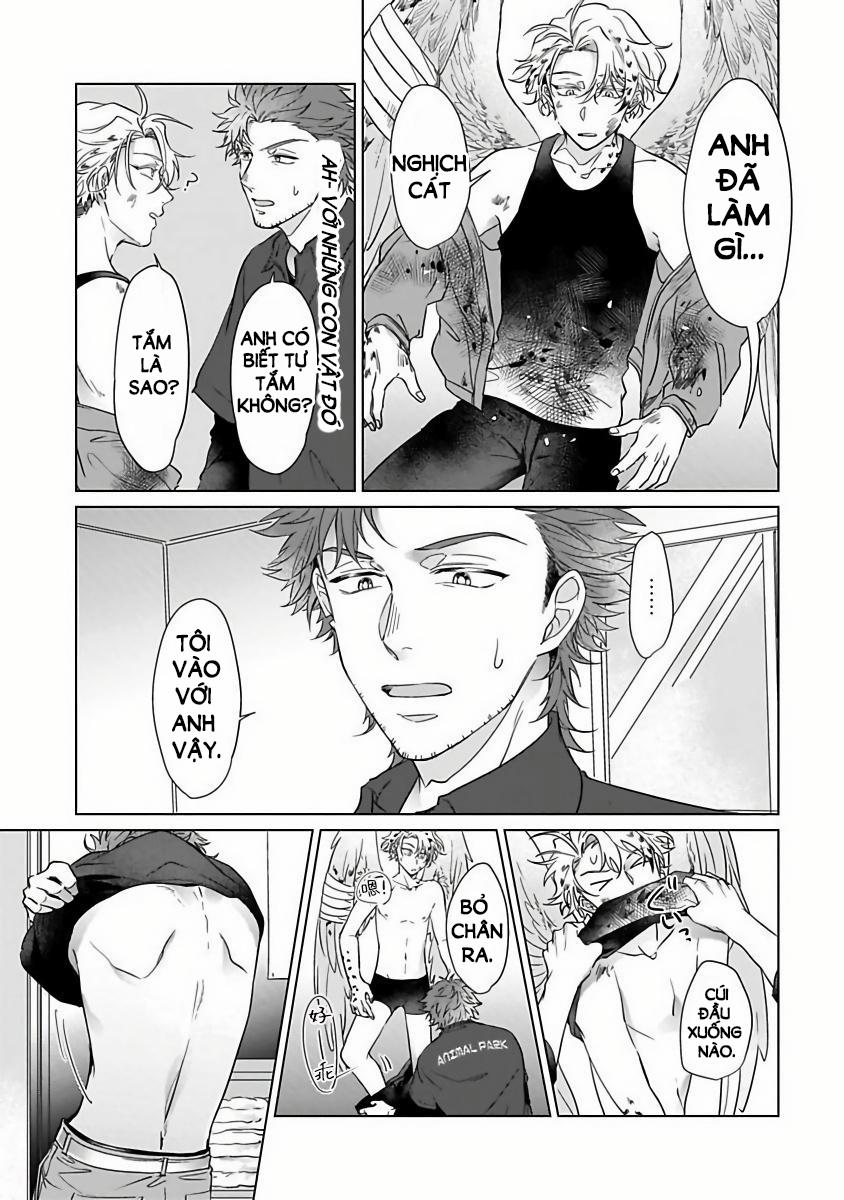 Tương Tư Chàng Cú 2 trang 11