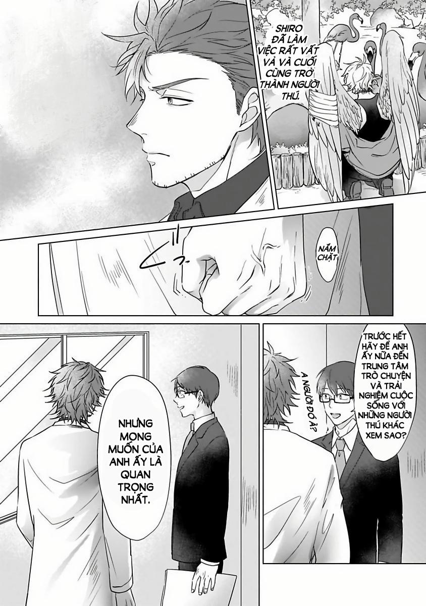 Tương Tư Chàng Cú 2 trang 21