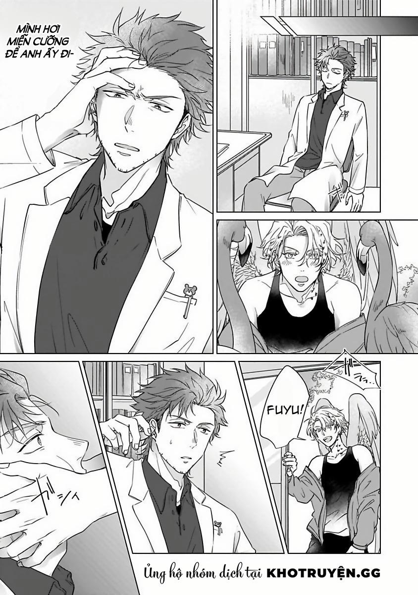 Tương Tư Chàng Cú 2 trang 22