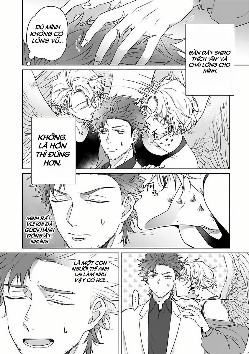 Tương Tư Chàng Cú 2 trang 3