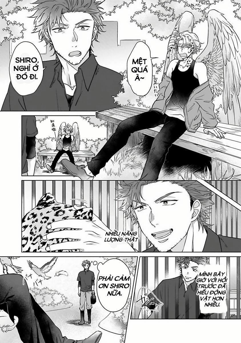 Tương Tư Chàng Cú 2 trang 7