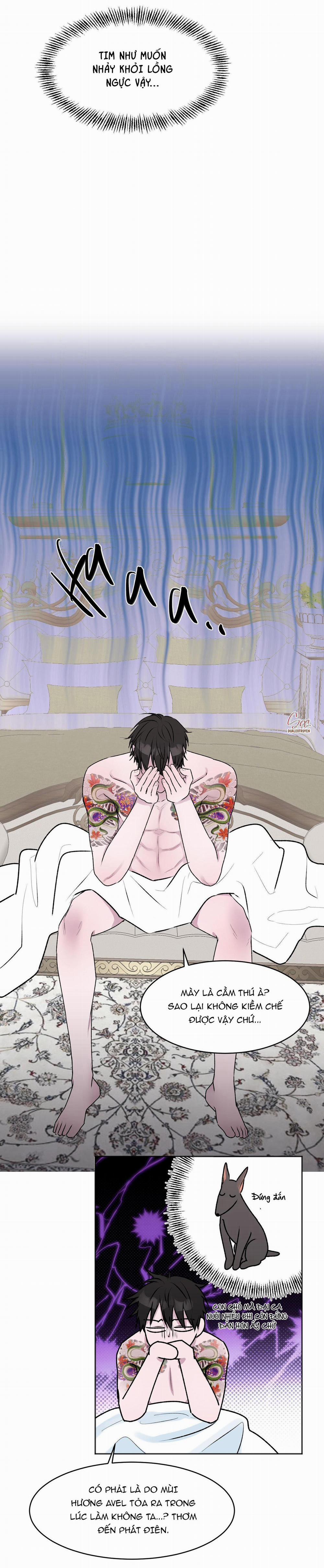 Tuyển Tập Abo Ngắn Của Nhà Sẹc 48 côn đồ alpha 3 trang 38