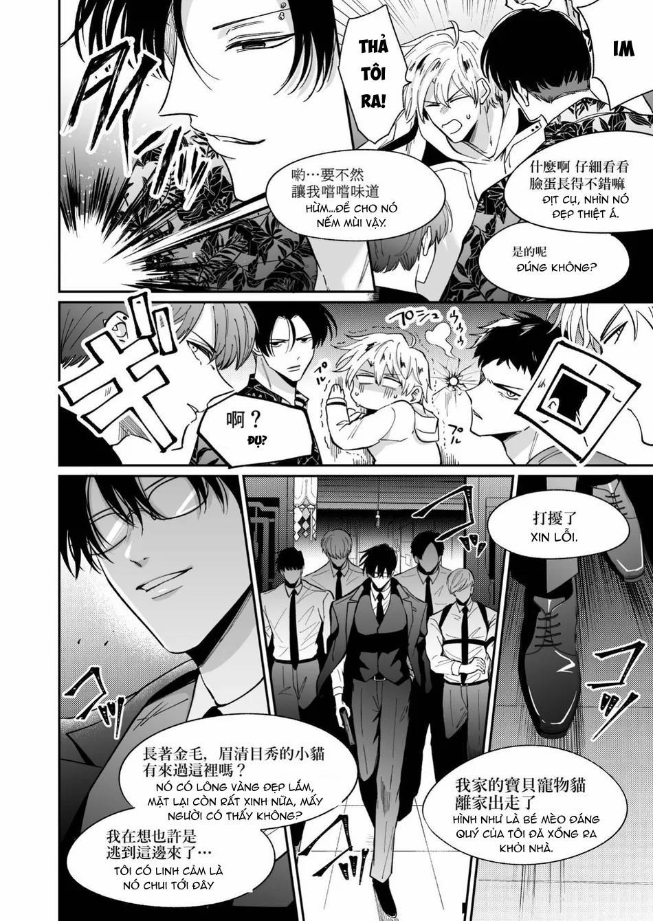 Tuyển Tập Bdsm Chịt Chọt 306.1 trang 13