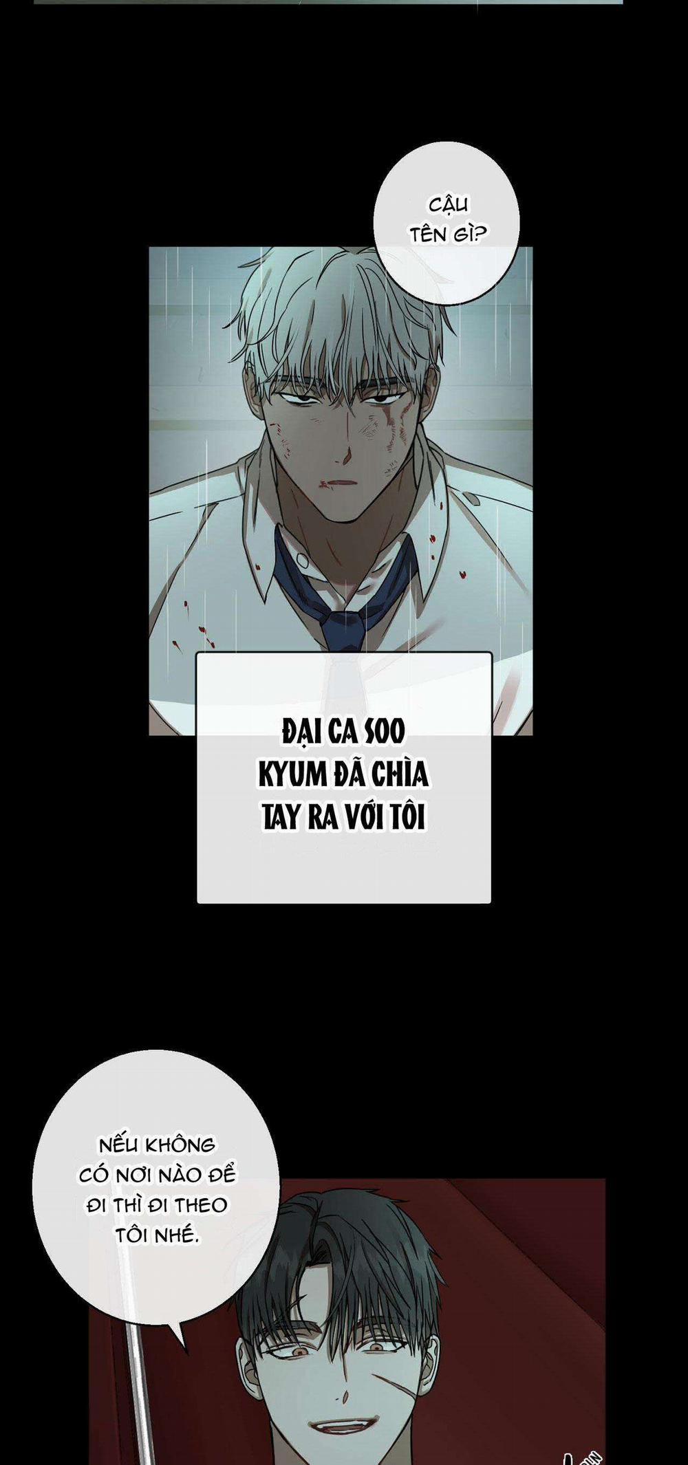 TUYỂN TẬP CUỒNG CÔNG-CHIẾM HỮU CÔNG CỦA NHÀ KIM 0.0 ĐẠI CA CỦA TÔI 1 trang 31