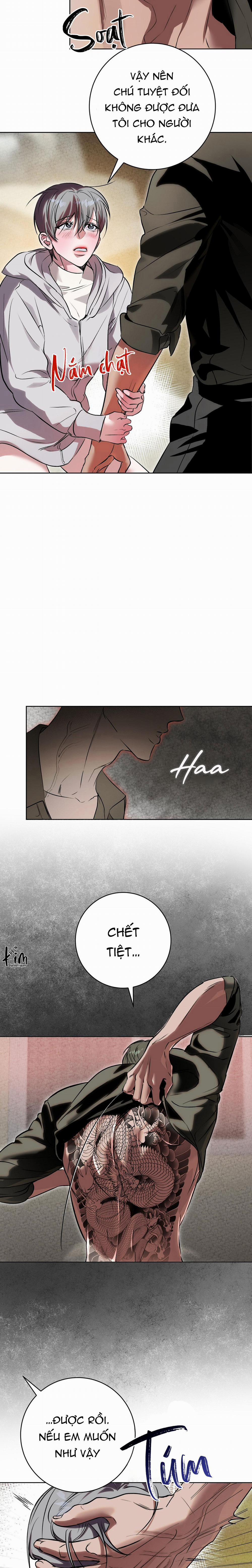 TUYỂN TẬP CUỒNG CÔNG-CHIẾM HỮU CÔNG CỦA NHÀ KIM 46.4 tiệm trà 4 trang 1